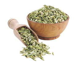 رازیانه (fennel)