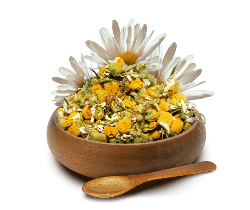 بابونه (Chamomile)