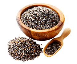 تخم شربتی (Ocimum basilicum)