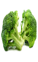 کلم بروکلی (Broccoli) 