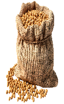 سویا