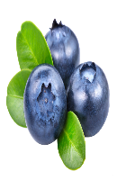 بلوبری (Blueberry)  