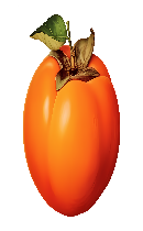 خرمالو (Persimmon)