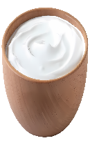 ماست (Yogurt)