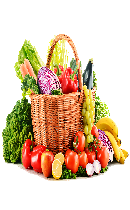 برای گیاه خواران