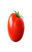 گوجه فرنگی