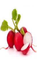 تربچه