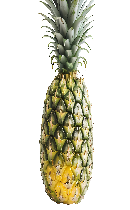 آناناس (Pineapple)🍍
