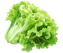 کاهو