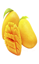 انبه (Mango)