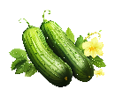 خیار
